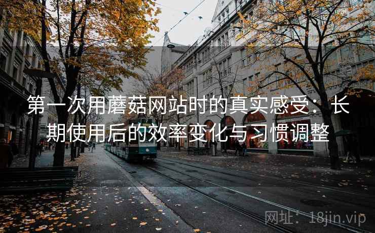 第一次用蘑菇网站时的真实感受：长期使用后的效率变化与习惯调整