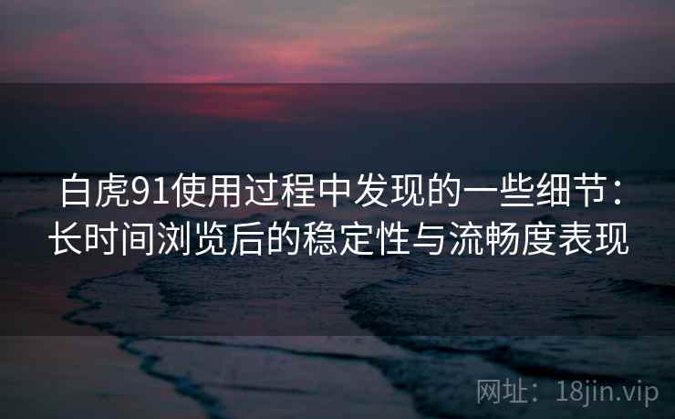 白虎91使用过程中发现的一些细节：长时间浏览后的稳定性与流畅度表现