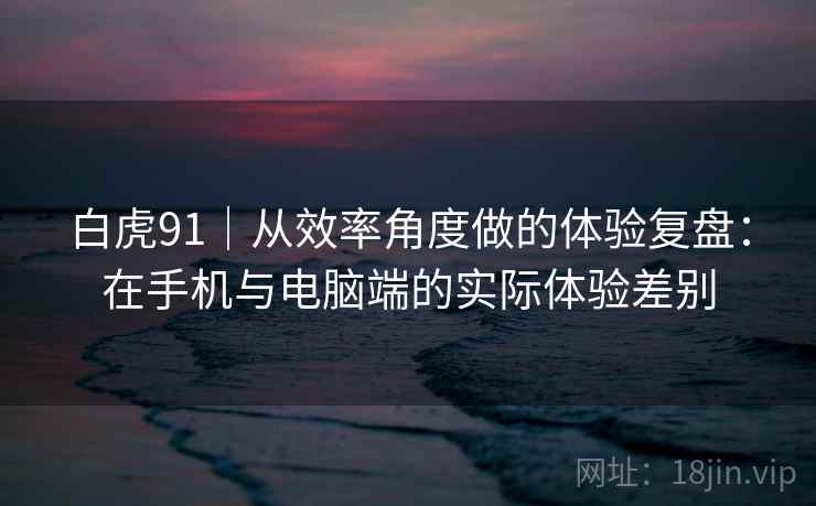 白虎91｜从效率角度做的体验复盘：在手机与电脑端的实际体验差别