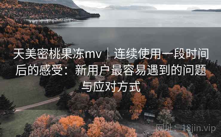 天美密桃果冻mv｜连续使用一段时间后的感受：新用户最容易遇到的问题与应对方式