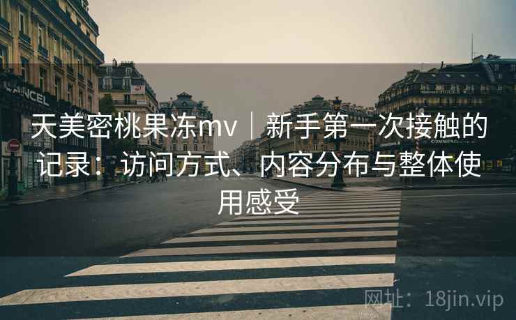 天美密桃果冻mv｜新手第一次接触的记录：访问方式、内容分布与整体使用感受