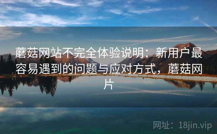 蘑菇网站不完全体验说明:新用户最容易遇到的问题与应对方式,蘑菇网片