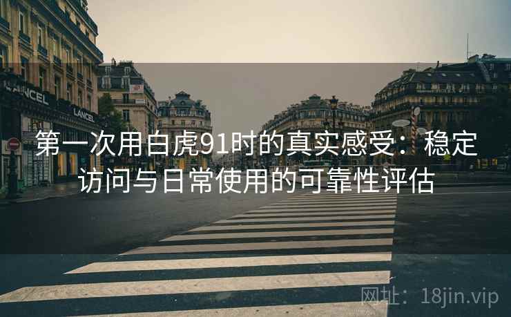 第一次用白虎91时的真实感受：稳定访问与日常使用的可靠性评估  第1张