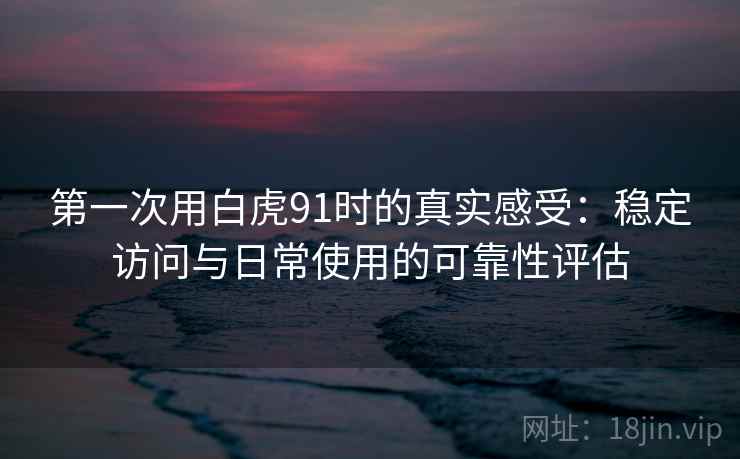 第一次用白虎91时的真实感受：稳定访问与日常使用的可靠性评估  第2张