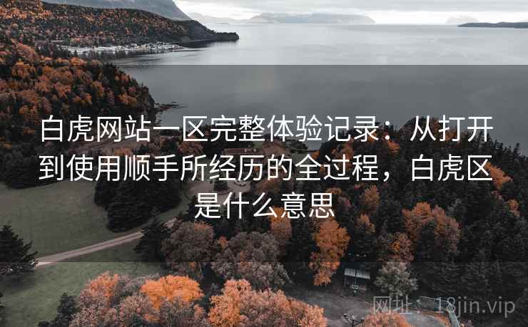 白虎网站一区完整体验记录:从打开到使用顺手所经历的全过程,白虎区是什么意思 第1张 白虎网站一区完整体验记录:从打开到使用顺手所经历的全过程,白虎区是什么意思 第1张