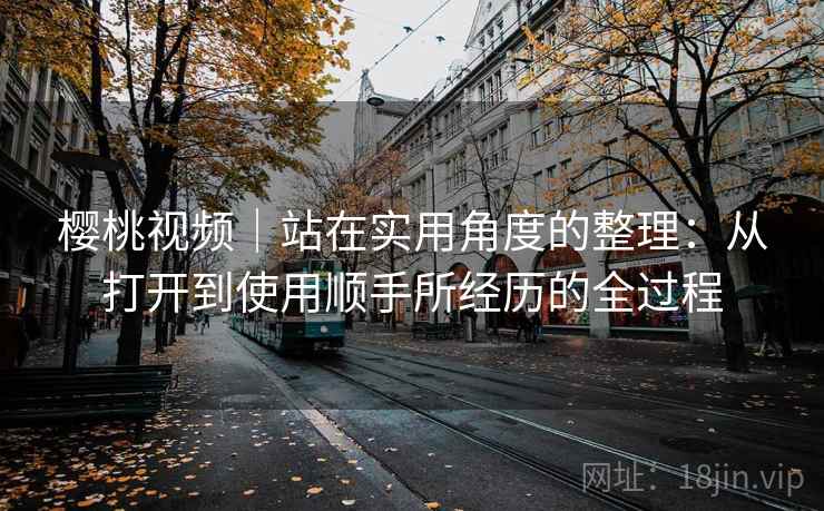 樱桃视频｜站在实用角度的整理：从打开到使用顺手所经历的全过程