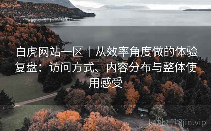 白虎网站一区｜从效率角度做的体验复盘：访问方式、内容分布与整体使用感受