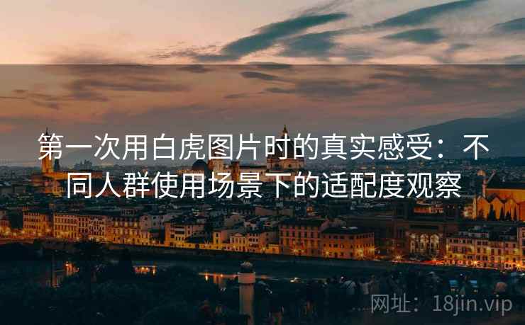 第一次用白虎图片时的真实感受：不同人群使用场景下的适配度观察