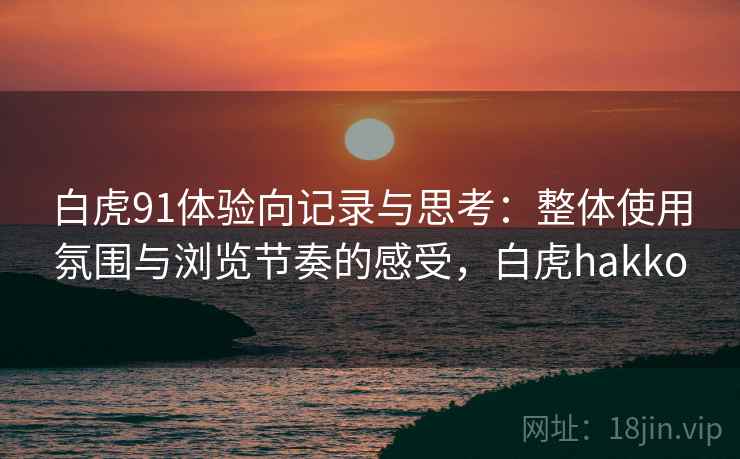 白虎91体验向记录与思考：整体使用氛围与浏览节奏的感受，白虎hakko