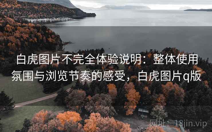 白虎图片不完全体验说明：整体使用氛围与浏览节奏的感受，白虎图片q版