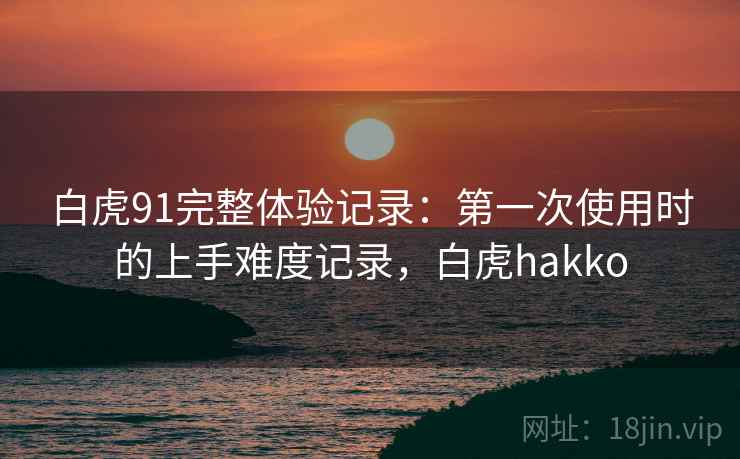 白虎91完整体验记录：第一次使用时的上手难度记录，白虎hakko
