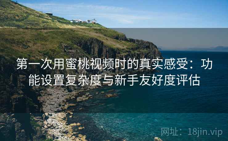 第一次用蜜桃视频时的真实感受：功能设置复杂度与新手友好度评估